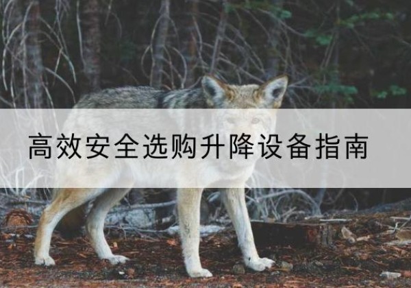 凉州升降货梯厂家推荐-*安全选购升降设备指南