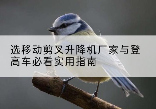 凉州电动升降机厂家-选移动剪叉升降机厂家与登高车必看实用指南