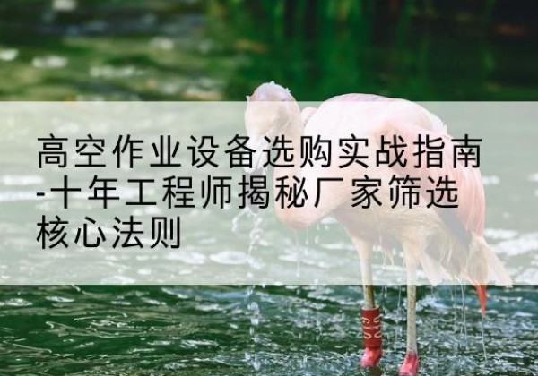 凉州剪叉式升降机厂家-高空作业设备选购实战指南-十年工程师揭秘厂家筛选核心法则